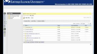 using my files in webct