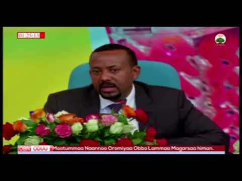 Dr Abiyyii Marii Hawaasa Waliin Maqaaleettii Taasisaan 06 08 2010