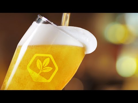 Eco-conscious Breweries
