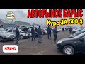 🛎🔥АВТОРЫНОК БАРЫС | Доллар за 500 | КАКИЕ ЦЕНЫ ТЕПЕРЬ НА АВТО С ПРОБЕГОМ | Вторичный рынок Казахстан