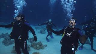 Your Dive 11 8 2020