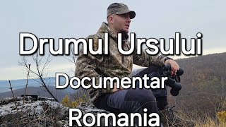 Drumul Ursului - Documentar Romania (fără subtitrare)