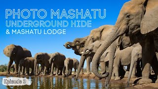 We visit the Photo Mashatu Underground Hide and Mashatu Lodge | Episode 3