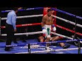 Gervonta Davis vs Leo Santa Cruz Full Fight | FROM INSIDE THE ARENA