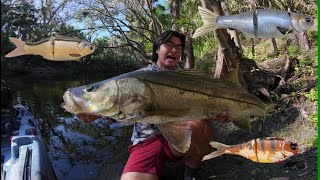 Glide Bait fishing for BIG Florida snook!!!!!!!! (vlog #4)