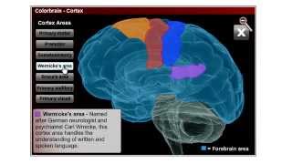 Online Education Showcase