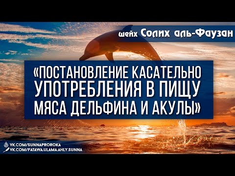 Хукм употребления мясо дельфина и акулы