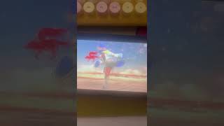 My Smash Bros Team Victory