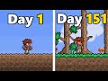 How Terraria was Created in Only 151 Days