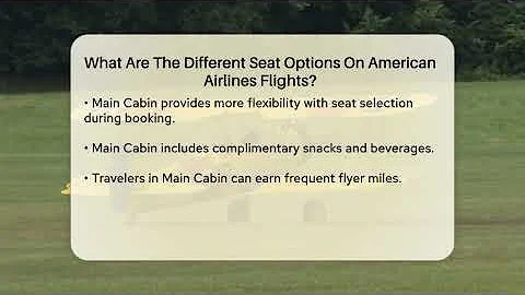 What Are The Different Seat Options On American Airlines Flights? - Air Traffic Insider