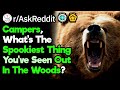 Campers, What's The Scariest Thing You've Seen In The Forest? (r/AskReddit)