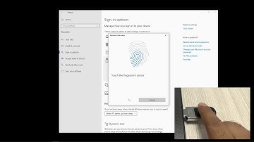 ThinC-AUTH Quick Start on Windows 10