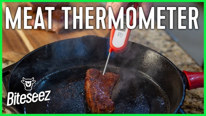Polder THM-379 Stable-Read Thermometer Review