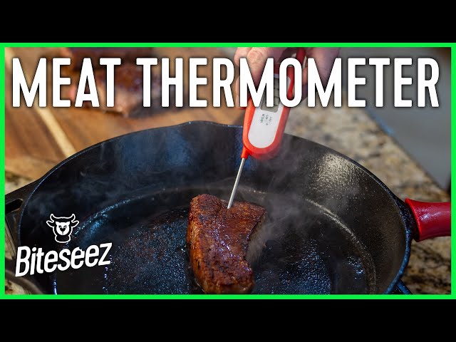 How To Use A Meat Thermometer - Your Best Digs