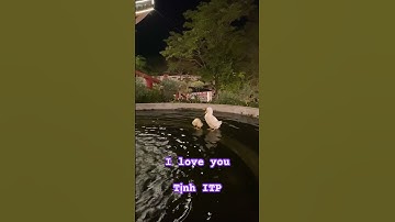 Workshop Ichimoku Trịnh Phát #itp #itpclub #ichimoku