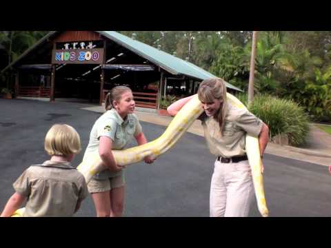 Australia Zoo New Home For Alimah The Albino Burmese Python Youtube
