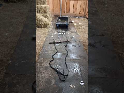 Randamorlan5014 Here Is The Single Tree I Made