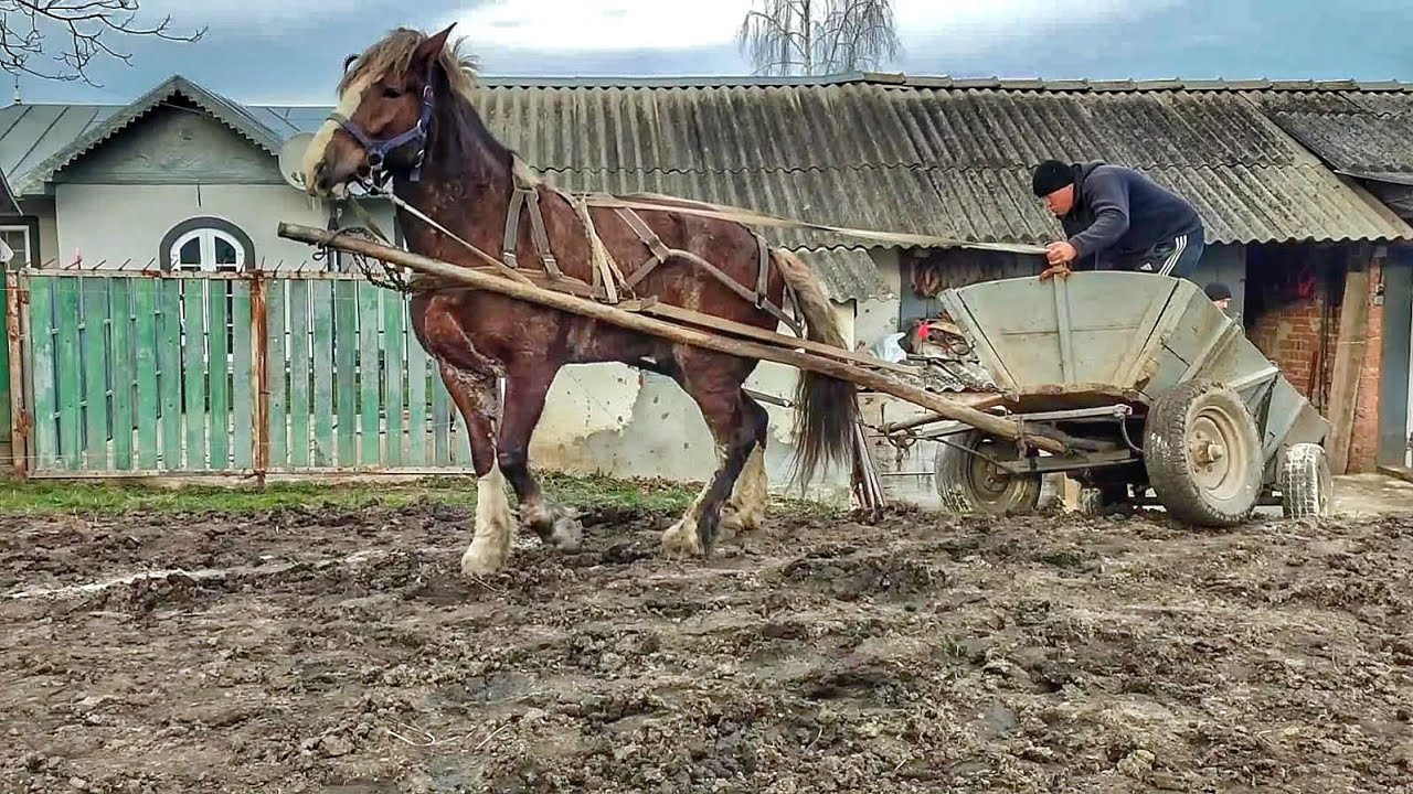 ❗❗❗НЕОЧІКУВАНА АВАРІЯ❗❗❗РУЖА В РОБОТІ 👍