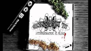Cunthunt 777 - The South And You