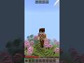 video ini cuma 3 detik doang #minecraft #pramuka #meme #fyp @kangrisan06