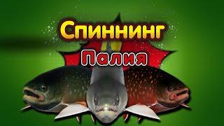 ПАЛИЯ◦СПИННИНГ!◦level◦Русская рыбалка 4!