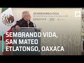 Video de San Mateo Etlatongo