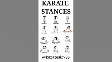 MOST IMPORTANT SHOTOKAN KARATE STANCES Karatesir Karate Shotokankarate 