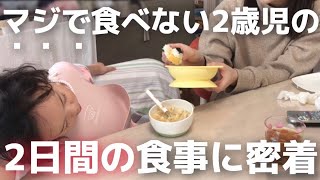 マジでご飯食べない2歳児の食事に密着【ワンオペ】【映えなし】