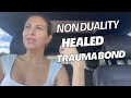 Non-Duality Awakening Healed My Nervous System