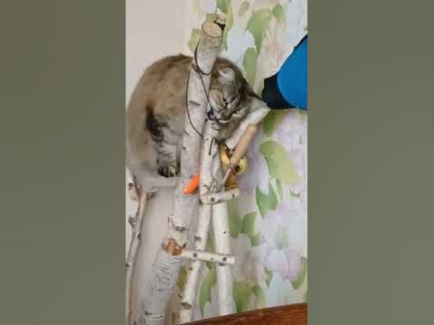 Веселая песенка. - YouTube