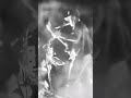 Quinn Christopherson- Erase Me. P.TM - Evil Friends. Full video on YouTube. #portugaltheman #concert