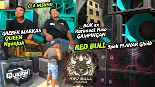 Bangkitkan Cla Faskho Rebornlahirkan Anak Banteng Red Bullgrebek Markas Queen Pro Nganjuk