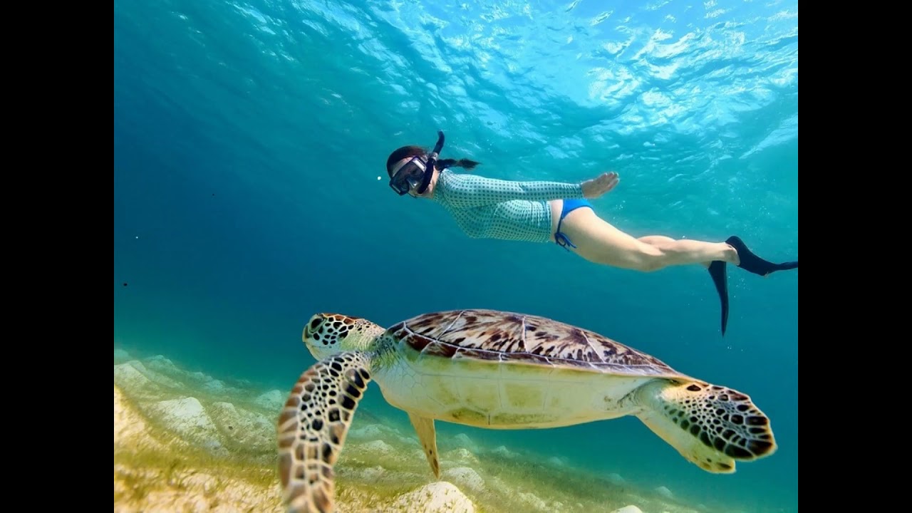 TURTLE WOMAN - YouTube