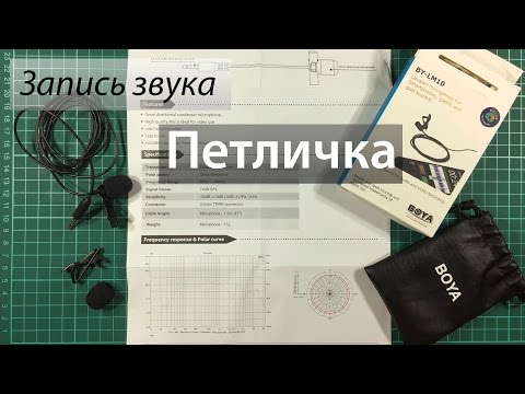 Видео: Үйлдлийн камерын микрофон: хэрхэн холбогдох вэ? Bluetooth, Lavalier болон бусад загвартай загваруудын тойм