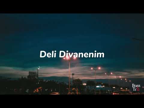 Ziynet Sali - Deli Divanenim (Bass)