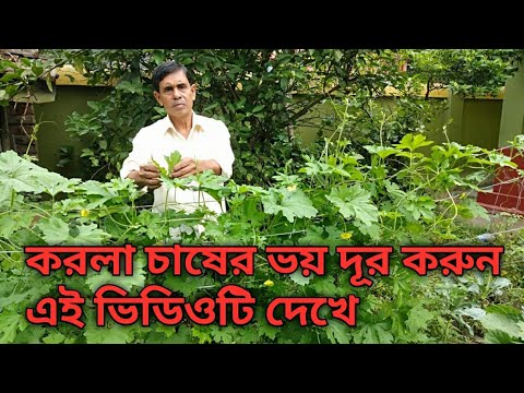 karala cultivation||করলা চাষের সমস্যা ও সমাধান