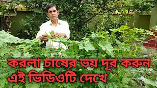 karala cultivation||করলা চাষের সমস্যা ও সমাধান screenshot 5