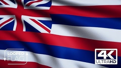 Flag 4K Hawaii On Realistic Looping Animation With Highly Detailed Fabric | Motion Graphics -