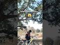 #mtb #cycling #mtblife #mountains #wheelie #stunt #odisha #ytshorts