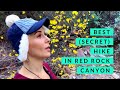 Best Hike in Red Rock Canyon Las Vegas - TERRACE CANYON!