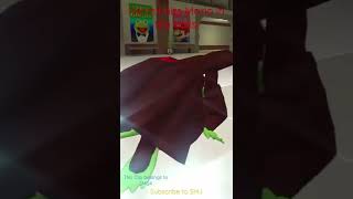 Kermit Hits Mario In The Balls