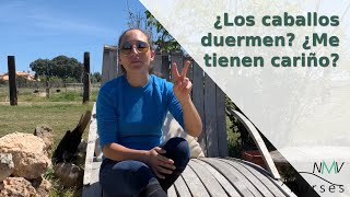 Charley duermo? ¿Por qué caballos obtengo cuando