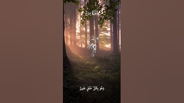 تلاوة عطرة من #سورة_يس للقارئ أنس عبد الستار 🌿 ارح سمعك 🖤🎧🤍