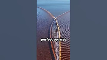 Square Waves A Rare and Dangerous Phenomenon!