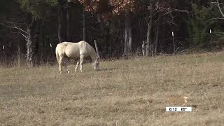 On Your Side Investigation Update: 4 Greene County, Mo., property owners still disputing 2023 ass...