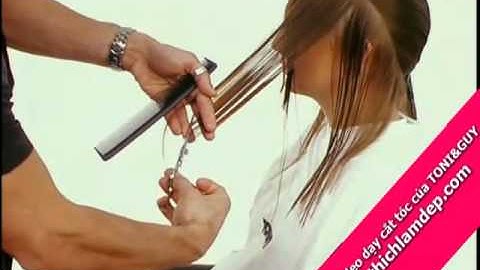 Video dạy cắt tóc của TONI&GUY   Phần 02