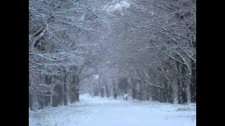 OST Tree of Heaven - His Whistle