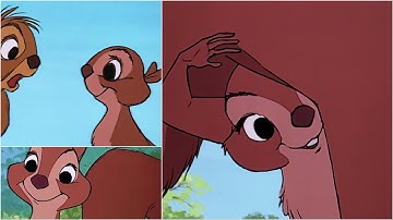 [The Sword in the Stone] The Complete Animation of the Female Squirrel