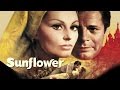 Sunflower 1970 trailer