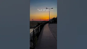 أينسى القلب أنسانا 